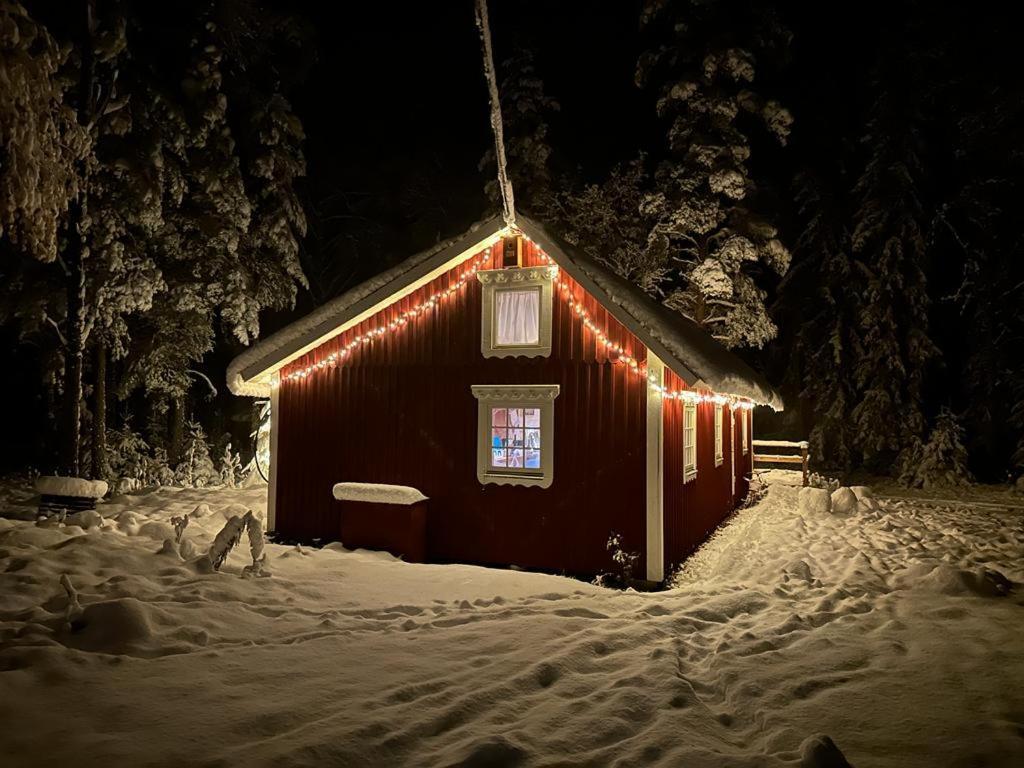 Davids Stuga Klassbol Bagian luar foto